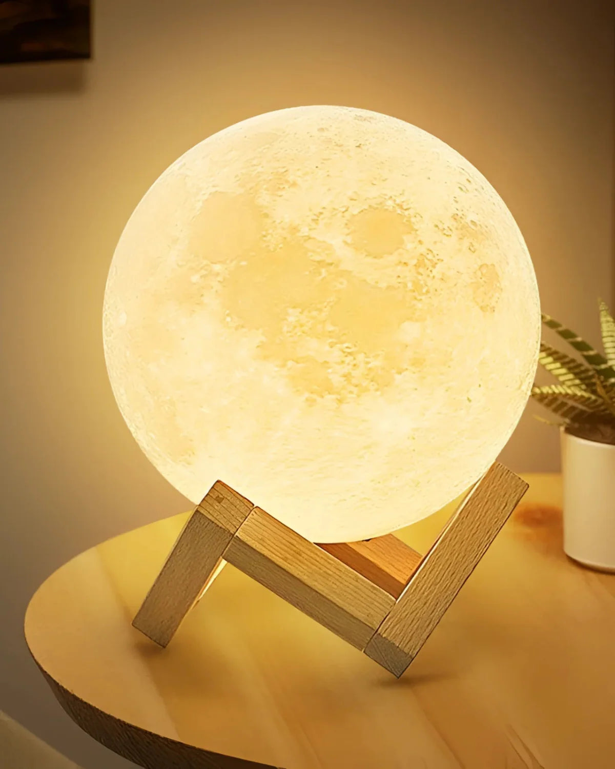 BRING THE MOON TO YOUR ROOM